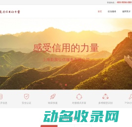 新颜征信